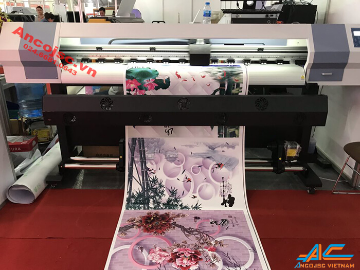 may-in-decal-1m6-1m8