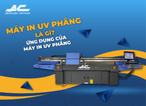may-in-uv-phang