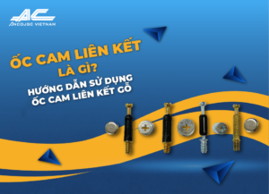 oc-cam-lien-ket