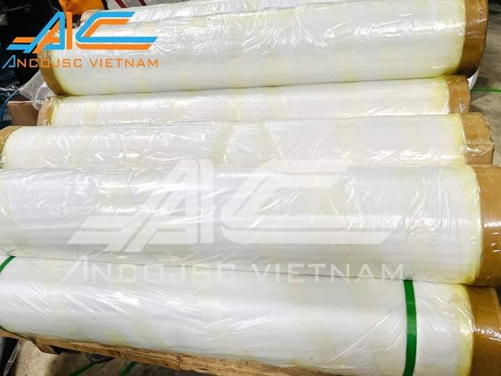 Tấm Màng Cán – 1 Vật Liệu Quan Trọng Trong Ngành In ấn