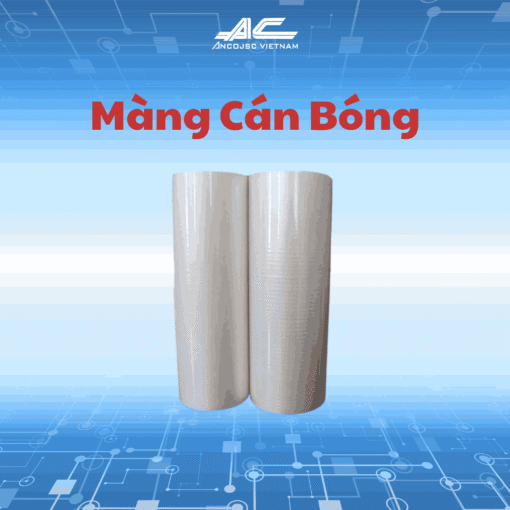 Màng Cán Pet Có Keo – 1 Loại Vật Liệu Vô Cùng Quan Trọng Của Ngành In ấn