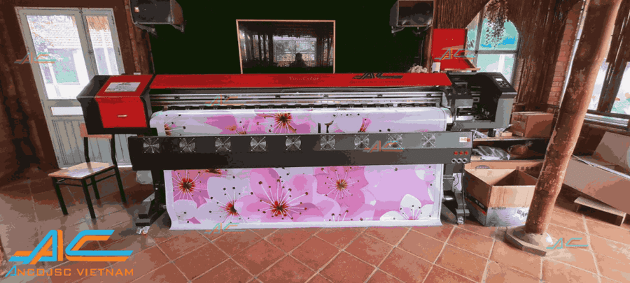 Máy In Decal Liangtu 2m5 Tốc độ ấn Tượng, Tối ưu Hiệu Suất