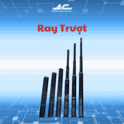 Ray Trượt