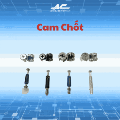 Cam Chốt